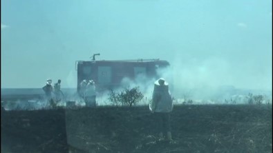 Edirne'de Tarlada Çikan Yanginda 100 Ari Kovani Yandi