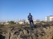 Esenyurt'ta Ot Yangininda Dumanlar E-5 Karayolu'nu Kapladi