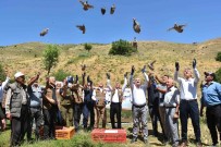 Salihli'de 450 Kinali Keklik Dogaya Salindi
