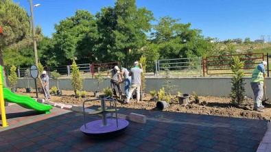 Yesil Ile Bütünlesen Ilkadim