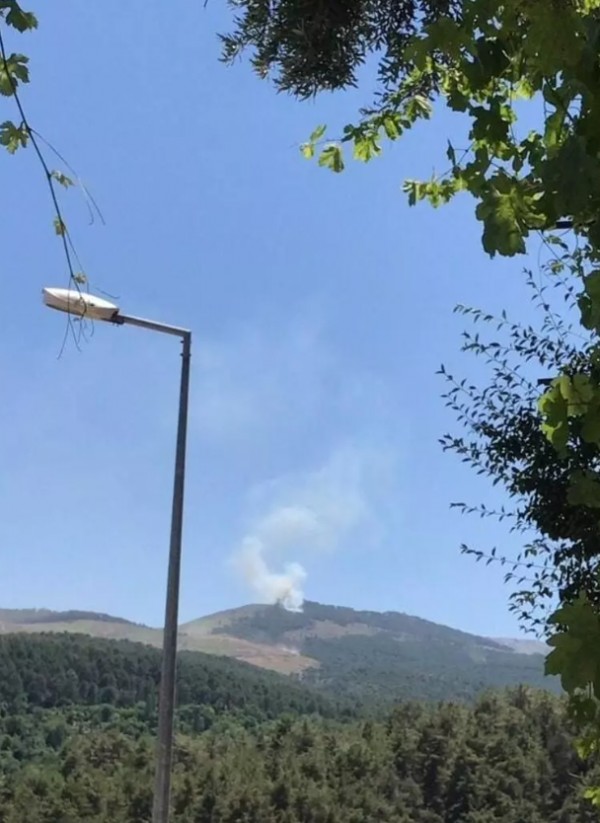 Muğla'da orman yangını! Ekipler sevk edildi