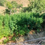 Bingöl'de Uyusturucu Madde Ele Geçirildi