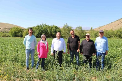 Erzincan'da Patates Projesi Basariyla Uygulaniyor