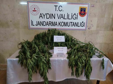 Aydin'da Uyusturucu Operasyonu Açiklamasi 1 Gözalti