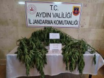 Aydin'da Uyusturucu Operasyonu Açiklamasi 1 Gözalti