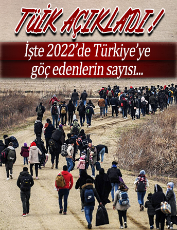 2022'de Türkiye’ye 494 bin 52 kişi göç etti
