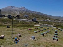 Sicaktan Bunalan Daga Kaçti