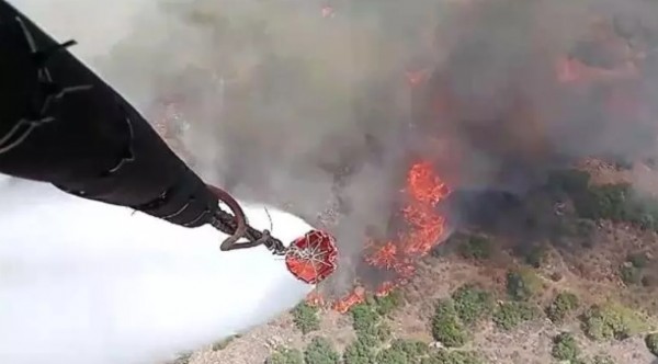 Manisa'da orman yangını