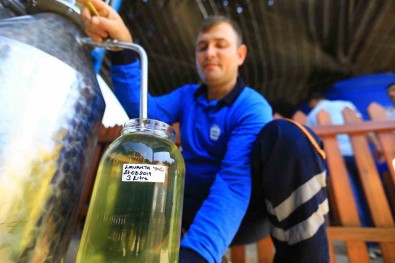 32 Tür Tibbi-Aromatik Bitkinin Distilasyonu Yapildi