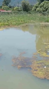 5 Köyün Su Kaynagi Depremden Sonra Kurudu