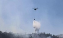 Hatay'da orman yangını çıktı