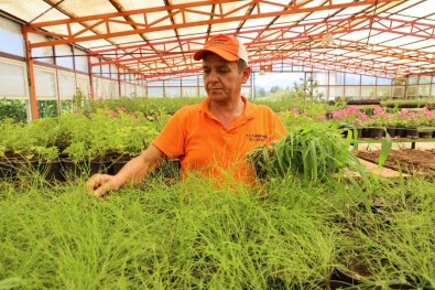 Marmaris Belediyesi, Üreterek Tasarruf Etti