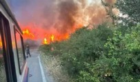 Orman yangınında alevler havalimanına yaklaştı: Uçuşlar durdu