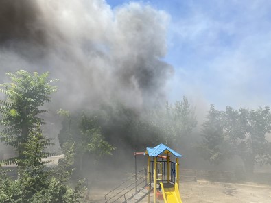 Tek Katli Evde Çikan Yanginda 5 Küçükbas Hayvan Telef Oldu