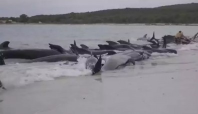 Avustralya'da üzücü olay! Hepsi öldü