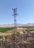 Elektrik Direginden Çikan Kilvilcim 5 Dönümlük Bahçeyi  Kül Etti