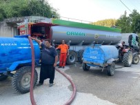 Ormancilar Bu Sefer Depremzedeler Için Seferber Oldu