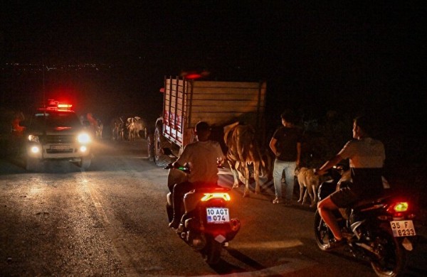 Kemer'den sonra iki ilde daha orman yangını çıktı: Üç mahalle tahliye edildi