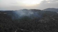 Çanakkale'deki Orman Yanginina Günün Ilk Isiklariyla Hava Müdahalesi Basladi