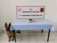 Sanliurfa'da Uyusturucu Operasyonu Açiklamasi 5 Gözalti