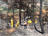 Yanan Ormanda Hasar Tespit Çalismalari Basladi