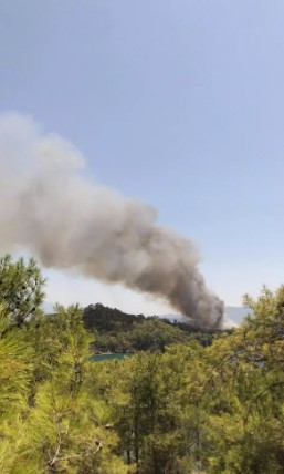 Muğla'da orman yangını