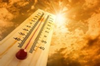 Aşırı sıcaklar can aldı: 249 kişi hayatını kaybetti