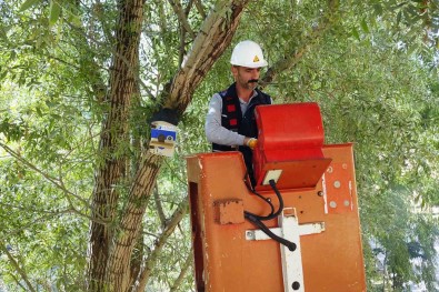 Atil Durumdaki Elektrik Panolari Kus Yuvalarina Dönüstürüldü