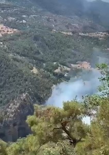 Bolu'da Söndürülemeyen Orman Yanginina Ankara Ve Balikesir'den Helikopter Destegi