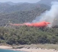 Muğla'da orman yangını