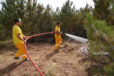 Orman Yangini Büyümeden Söndürüldü