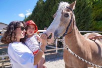 Tepebasi'nda Binicilige Engel Yok