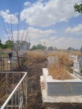 Agri'da Mezar Yangini