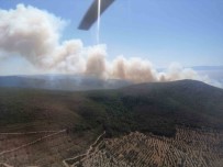 Çesme'de Orman Yangini