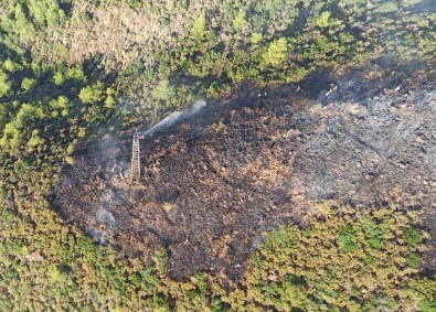 Marmaris'te Orman Yangini Büyümeden Söndürüldü