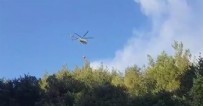 Sakarya’da orman yangını! Ekipler müdahale ediyor