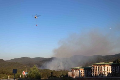 Sakarya'daki Orman Yangini 3 Buçuk Saat Sonra Kontrol Altina Alindi