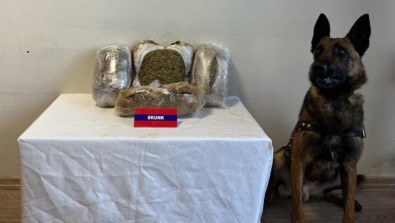 Bolu'da 5 Kilo Uyusturucuyu Narkotik Köpegi 'Biçak' Yakaladi Açiklamasi 5 Gözalti
