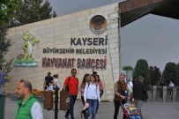 Büyüksehir Hayvanat Bahçesini Kurban Bayrami'nda 65 Bin Kisi Ziyaret Etti