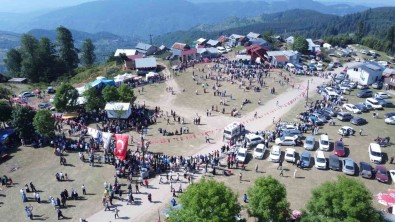 Sakarya'nin En Yüksek Noktasinda Asirlik Senlik