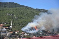 Izmir Kemalpasa'da Orman Yangini