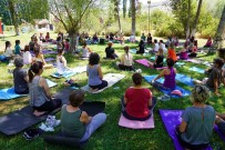 Tabiat Içinde Yoga Ve Saglikli Beslenme Kampi