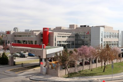 Erzurum 6 Ayda 151 Marka Çikardi