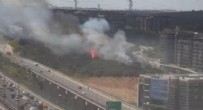 Kağıthane'de ağaçlık alanda yangın