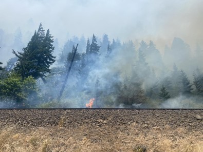 ABD'de Orman Yangini Açiklamasi 10 Ev Yandi, 540 Dönüm Alan Küle Döndü