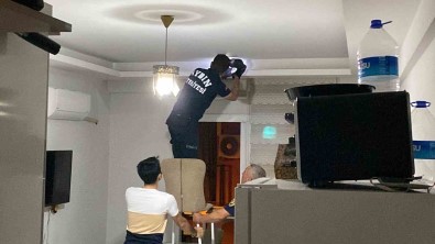 Aydin'da Yarasa Panigi