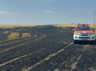 Tekirdag'da 15 Dönüm Bugday Alevlere Teslim Oldu