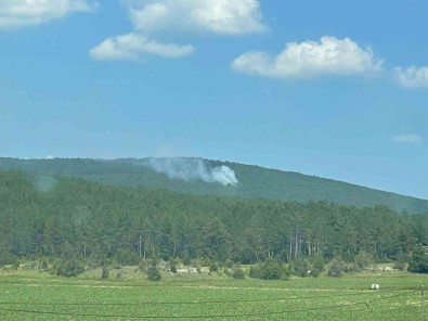 Yildirim Düsen Ormanda Çikan Yangin Söndürüldü
