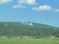Yildirim Düsen Ormanda Çikan Yangin Söndürüldü