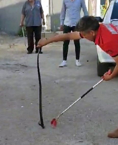 Dansları geceye damga vurdu